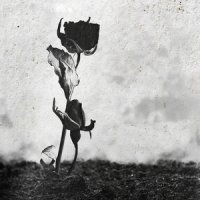 рингтон LXE & Baladja - Бережно Манила на звонок