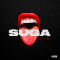 рингтон Megan Thee Stallion - Captain Hook на звонок