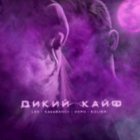 рингтон LXE & Kavabanga Depo Kolibri - Дикий Кайф (M Laime & Frost Remix) на звонок