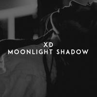 рингтон XD - Moonlight Shadow на звонок
