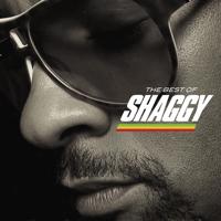 рингтон Shaggy - Boombastic (TikTok Remix) на звонок
